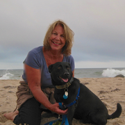 Renee F., Pet Care Provider in Old Lyme, CT 06371 with 30 years paid experience