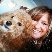 Donna H., Pet Care Provider in Chadds Ford, PA with 30 years paid experience