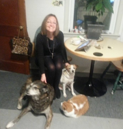Jeanette B., Pet Care Provider in Dunellen, NJ 08812 with 2 years paid experience