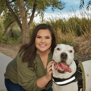 Taylor H., Babysitter in Tucson, AZ with 11 years paid experience