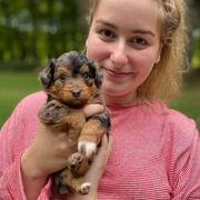 Grace L., Pet Care Provider in Granger, IN 46530 with 1 year paid experience
