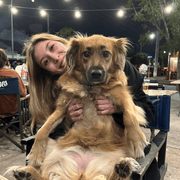 Valentina I., Pet Care Provider in Miami Beach, FL with 5 years paid experience