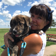 Paula P., Pet Care Provider in Saint Paul, MN with 30 years paid experience