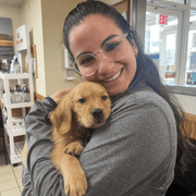 Allison M., Pet Care Provider in Port Jefferson Station, NY with 3 years paid experience
