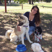 Chantelle S., Pet Care Provider in Watauga, TX with 2 years paid experience