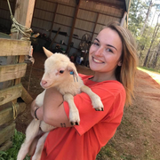 Claire M. - Auburn Babysitter