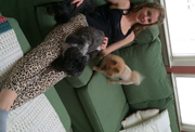 Shannon D. - Waterbury Center Pet Care Provider