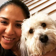 Beatriz G., Pet Care Provider in Westbury, NY 11590 with 10 years paid experience