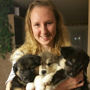 Samantha L., Pet Care Provider in Schaumburg, IL 60193 with 2 years paid experience