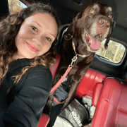 Britney R., Pet Care Provider in Levittown, NY with 14 years paid experience