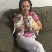 Michelle R., Pet Care Provider in Bronx, NY with 2 years paid experience