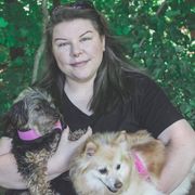 Morgan W., Pet Care Provider in Haubstadt, IN 47639 with 4 years paid experience