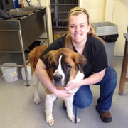Kelly H., Pet Care Provider in Blacksburg, VA with 7 years paid experience