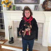 Lori S., Pet Care Provider in Newtown, CT 06470 with 6 years paid experience