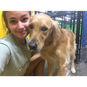 Jaclyn L., Pet Care Provider in Asheville, NC 28803 with 4 years paid experience