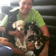 Vanessa B., Pet Care Provider in Denton, TX with 3 years paid experience