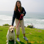 Joy C., Care Companion in Solana Beach, CA 92075 with 0 years paid experience