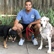 Seth J., Pet Care Provider in Austin, TX with 3 years paid experience