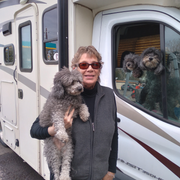 Suzanne D., Pet Care Provider in Dairyville, CA with 20 years paid experience