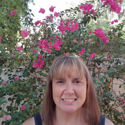 Carole W., Pet Care Provider in Chandler, AZ with 15 years paid experience