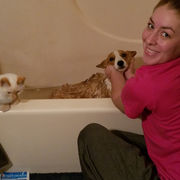 Kaitlyn K., Pet Care Provider in Sedalia, MO 65301 with 10 years paid experience