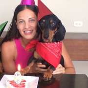 Sindy R., Pet Care Provider in Hallandale, FL 33009 with 15 years paid experience