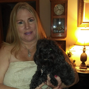 Stephanie M., Pet Care Provider in Canal Whchstr, OH with 10 years paid experience