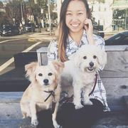 Shin W., Babysitter in Rancho Palos Verdes, CA with 1 year paid experience