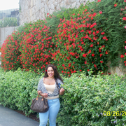 Nancy S., Babysitter in Brooklyn, NY with 7 years paid experience