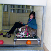 Robin M., Pet Care Provider in Dana Point, CA 92629 with 5 years paid experience