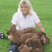 Shura B., Pet Care Provider in Sun Valley, CA with 35 years paid experience