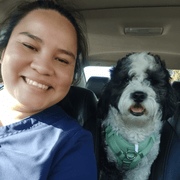 Ivania N., Pet Care Provider in Chico, CA with 1 year paid experience