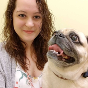 Rebecca V., Pet Care Provider in La Grange Highlands, IL with 7 years paid experience