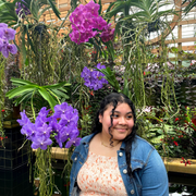 Kaitlyn M., Nanny in Maywood, IL with 1 year paid experience