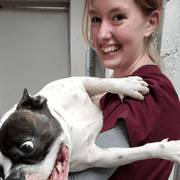 Hannah P., Pet Care Provider in Tampa, FL 33613 with 1 year paid experience