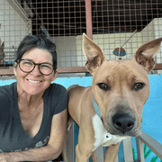 Hilary O., Pet Care Provider in Mesa, AZ with 1 year paid experience