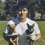 Jean Paul C., Pet Care Provider in Long Island City, NY with 0 years paid experience