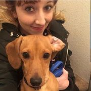 Sarah P., Pet Care Provider in Wellington, CO with 6 years paid experience