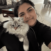 Ameera A., Pet Care Provider in Hollywood, FL with 2 years paid experience
