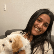 Shreya S., Babysitter in Seattle, WA with 0 years paid experience