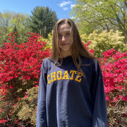Sarah M., Babysitter in Cheshire, CT with 2 years paid experience