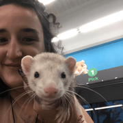 Grace B., Pet Care Provider in Cary, NC with 5 years paid experience