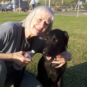 Doris C., Pet Care Provider in Phoenix, AZ 85033 with 10 years paid experience