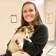 Stacy H., Pet Care Provider in Asheville, NC with 1 year paid experience