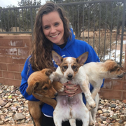Breanna W., Pet Care Provider in Madison, WI 53716 with 3 years paid experience
