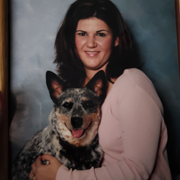 Jen C., Pet Care Provider in Palm Coast, FL with 30 years paid experience