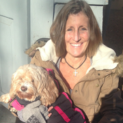 Kate H., Pet Care Provider in Lavallette, NJ with 25 years paid experience