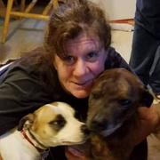 Eileen K., Pet Care Provider in Mapleville, RI with 30 years paid experience