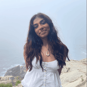 Medha B., Pet Care Provider in Storrs Mansfield, CT with 0 years paid experience