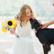 Lacey C. - Port Orange Pet Care Provider